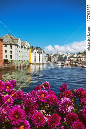 flowers of Alesund flowers of Alesund 27793775