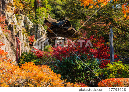 Autumn leaves of Natoya-ji Autumn leaves of Natoya-ji 27795628
