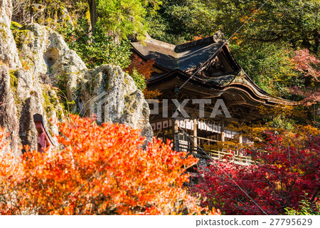 Autumn leaves of Natoya-ji Autumn leaves of Natoya-ji 27795629