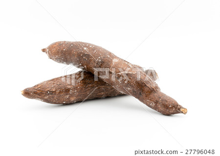 木薯：木薯 27796048