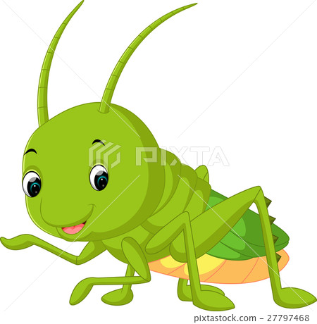 grasshopper cartoon - Stock Illustration [27797468] - PIXTA