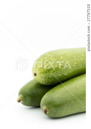 冬瓜（Togan）：冬瓜 27797528