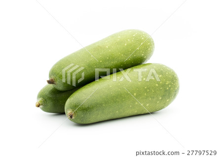 冬瓜（Togan）：冬瓜 27797529