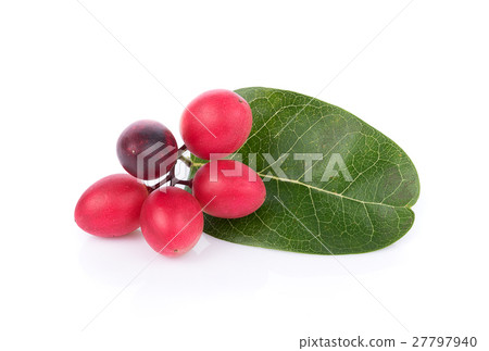 Carunda or Karonda on white background 27797940