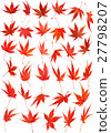 Maple leaves Maple 27798207