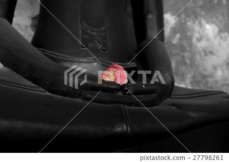 Pink lotus in hand of buddha statue Pink lotus in hand of buddha statue 27798261