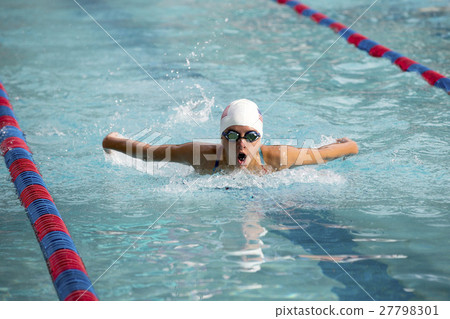 游泳蝴蝶 游泳蝴蝶 27798301