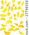 Ginkgo leaves leaves fallen leaves 27798358