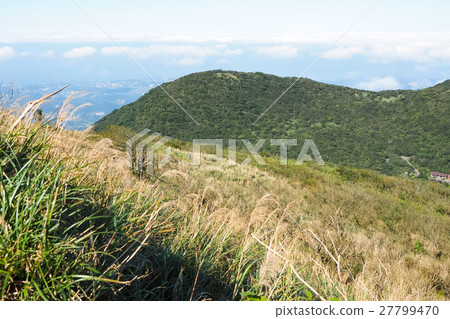 秋天的大屯山 27799470