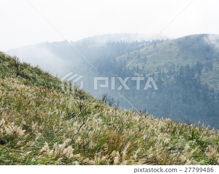 Autumn in the mountains Autumn in the mountains 27799486