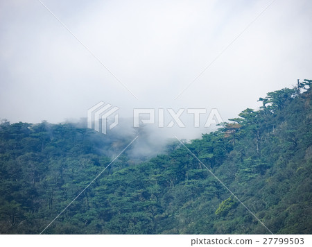 秋天的大屯山 27799503