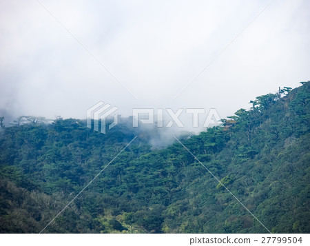 秋天的大屯山 27799504