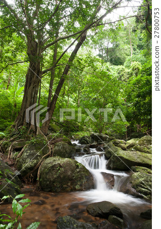 Waterfall beautiful in province southeast asia  27800753