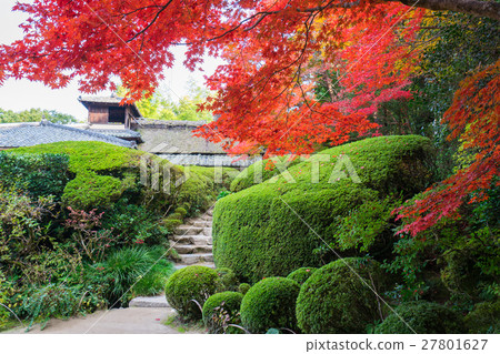 Autumn leaves of Kyoto Shisen-do 27801627