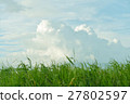 Tunnel cloud _ grassland summer 27802597