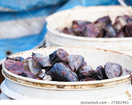 魚餌 27802941