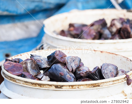 魚餌 27802942
