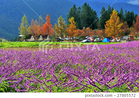 Wuling Sage 27805572