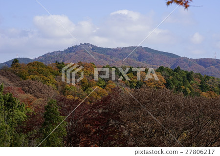 Maple autumn leaves maple Takanyoji Mt. ⑧ Maple autumn leaves maple Takanyoji Mt. ⑧ 27806217