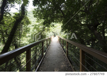 Okinawa Main Island Northern part Yanbaru / Higashi Hiroshi Falls suspension bridge 27807749