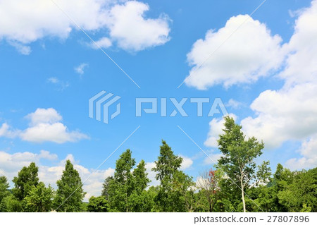 Hokkaido blue sky, white clouds and fresh green trees 27807896
