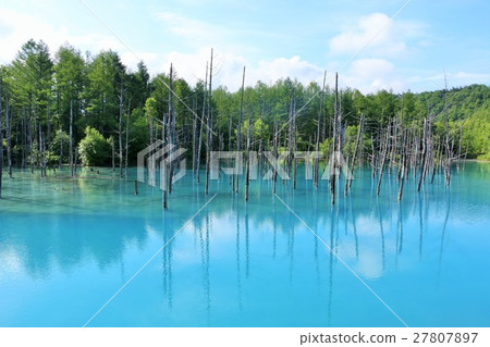 Blue Pond of Biei Hokkaido 27807897