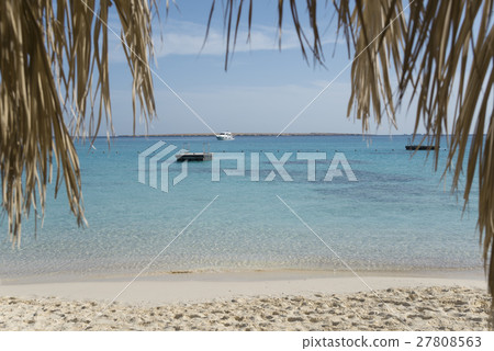 Beach photo in palm leaves frame 27808563