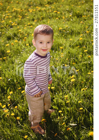little boy in spring dandelion meadow little boy in spring dandelion meadow 27811551