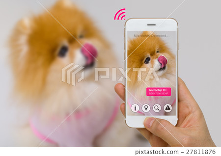 Augmented Reality of Pet Microchip Smartphone IOT Augmented Reality of Pet Microchip Smartphone IOT 27811876