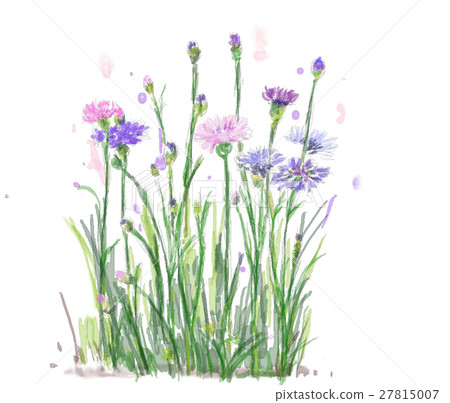 Aragakusa Personal computer watercolor painting 27815007