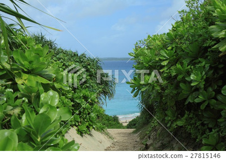 沙灘 27815146