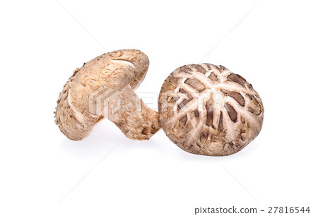 Shiitake mushroom isolated on white background 27816544
