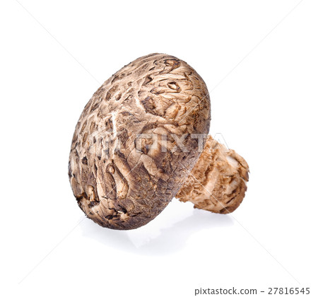 Shiitake mushroom on white background 27816545