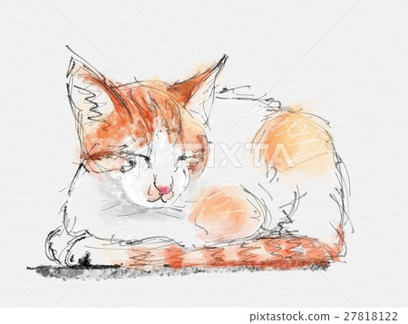 Cat Illustration Cat Illustration 27818122