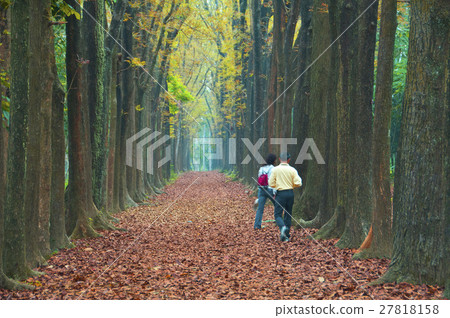 落葉小徑 27818158