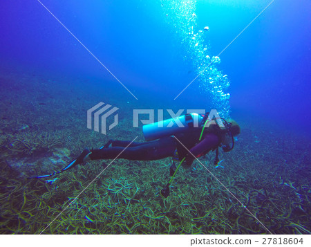 Underwater scuba diving selfie shot. 27818604