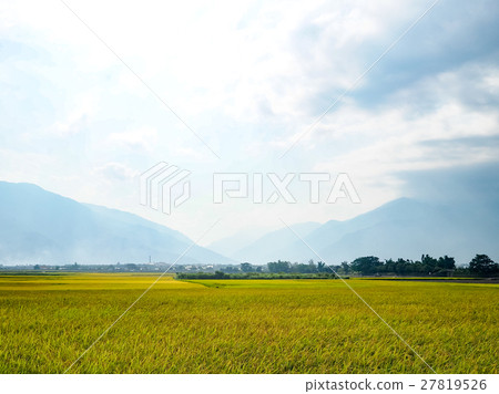 Pool scenery 27819526