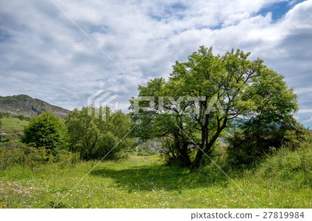 Scenic view of Dagestan Scenic view of Dagestan 27819984