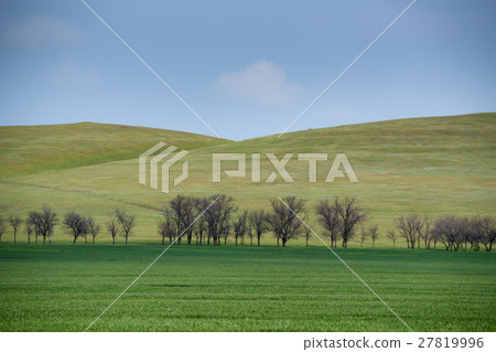 Scenic spring landscape Scenic spring landscape 27819996
