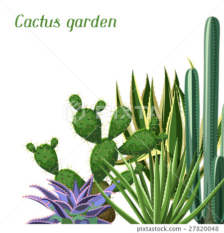 Background with cactuses and succulents set 27820048