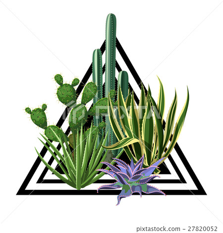 Print with cactuses and succulents set. Plants of Print with cactuses and succulents set. Plants of 27820052