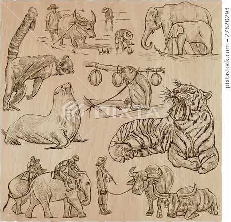 animals - an hand drawn vector pack, collection. animals - an hand drawn vector pack, collection. 27820293