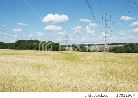 electrical high voltage lines on the wheat field 27821667
