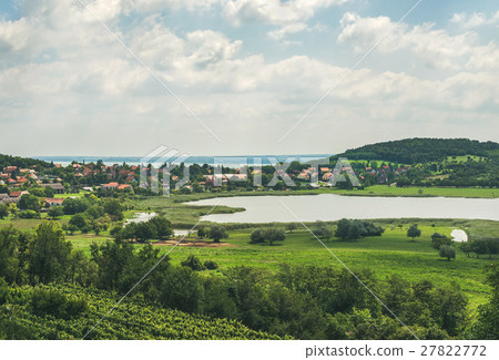 View over wineyards and Tihany village, Lake 27822772