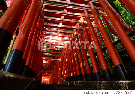 鳥居長廊 鳥居長廊 27823557