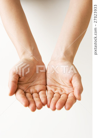 掌心 掌心 27823933