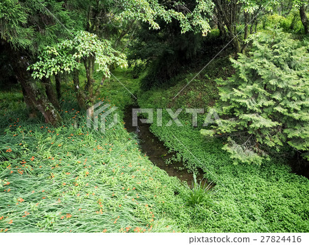小河流 小河流 27824416