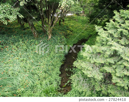 小河流 小河流 27824418