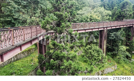 阿里山空中步道 27824450