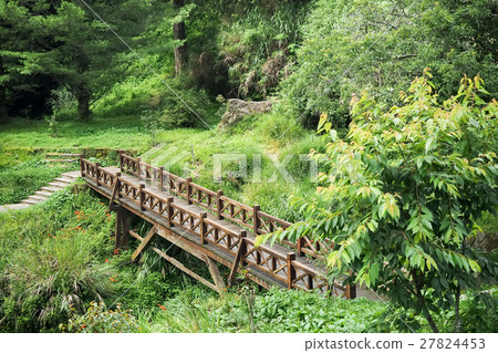 阿里山沼平公園 27824453